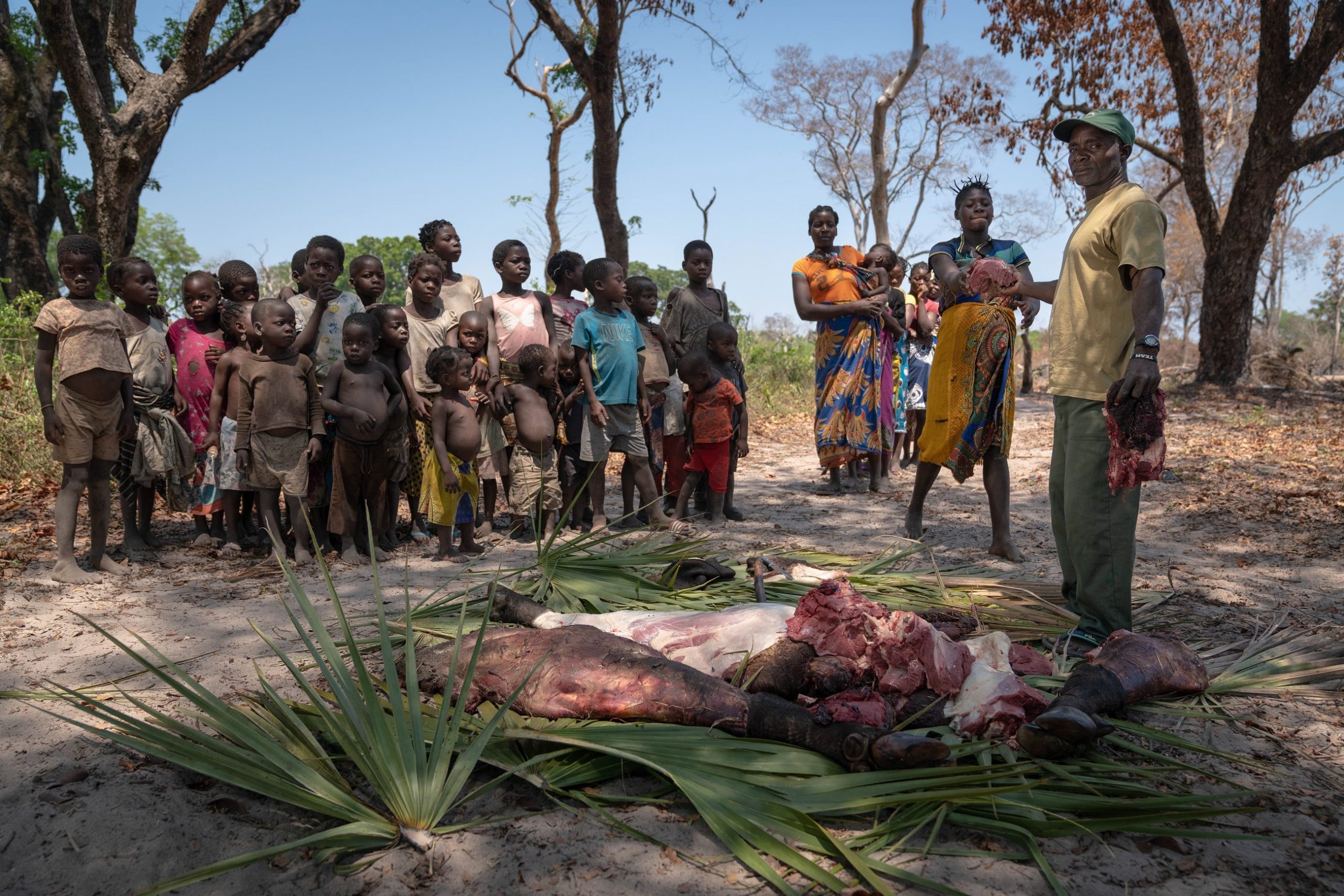 Orci varius natoque penatibu